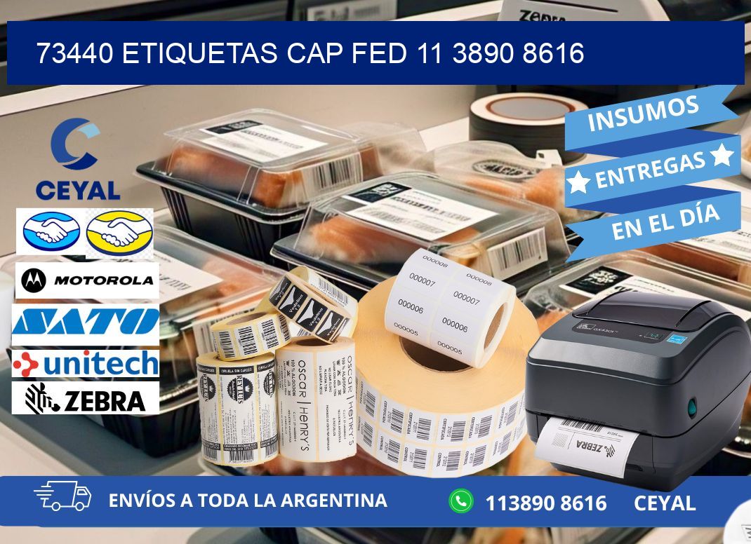 73440 ETIQUETAS CAP FED 11 3890 8616