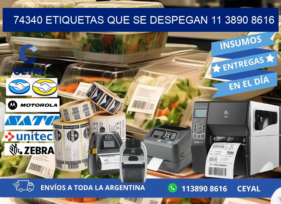 74340 ETIQUETAS QUE SE DESPEGAN 11 3890 8616