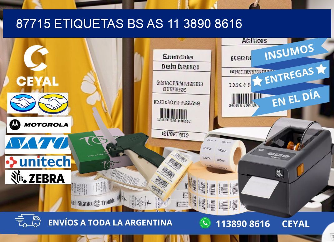 87715 ETIQUETAS BS AS 11 3890 8616