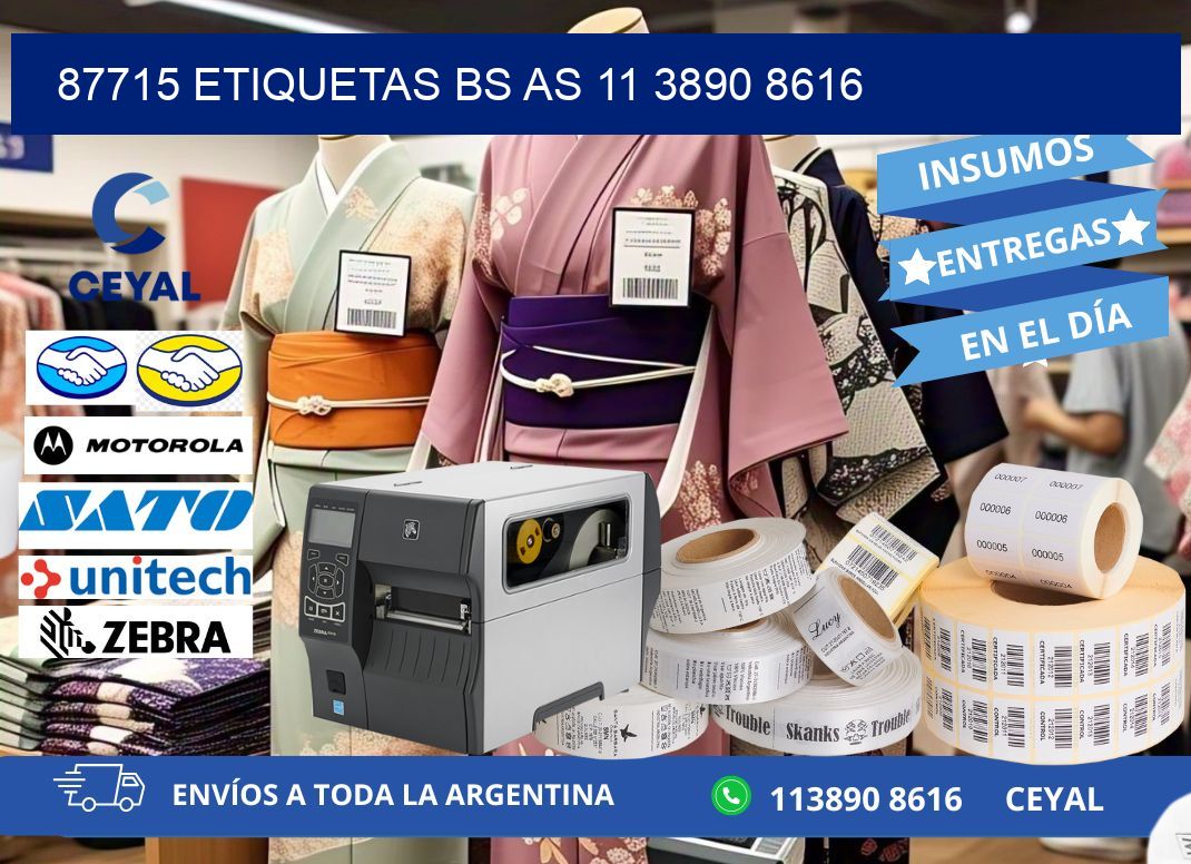 87715 ETIQUETAS BS AS 11 3890 8616