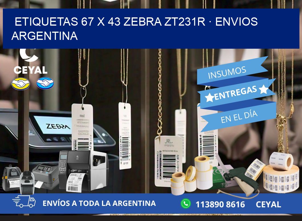 ETIQUETAS 67 x 43 ZEBRA ZT231R · ENVIOS ARGENTINA