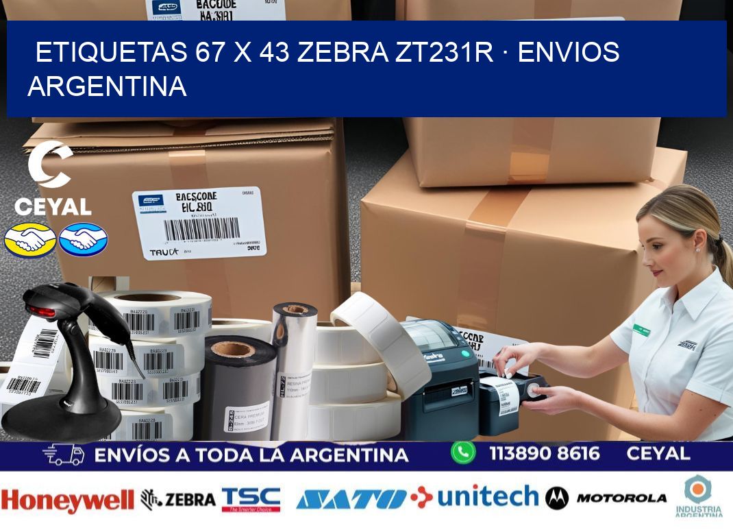 ETIQUETAS 67 x 43 ZEBRA ZT231R · ENVIOS ARGENTINA