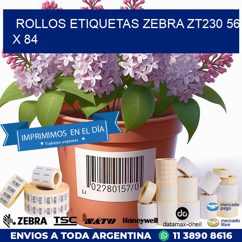 ROLLOS ETIQUETAS Zebra ZT230 56 x 84