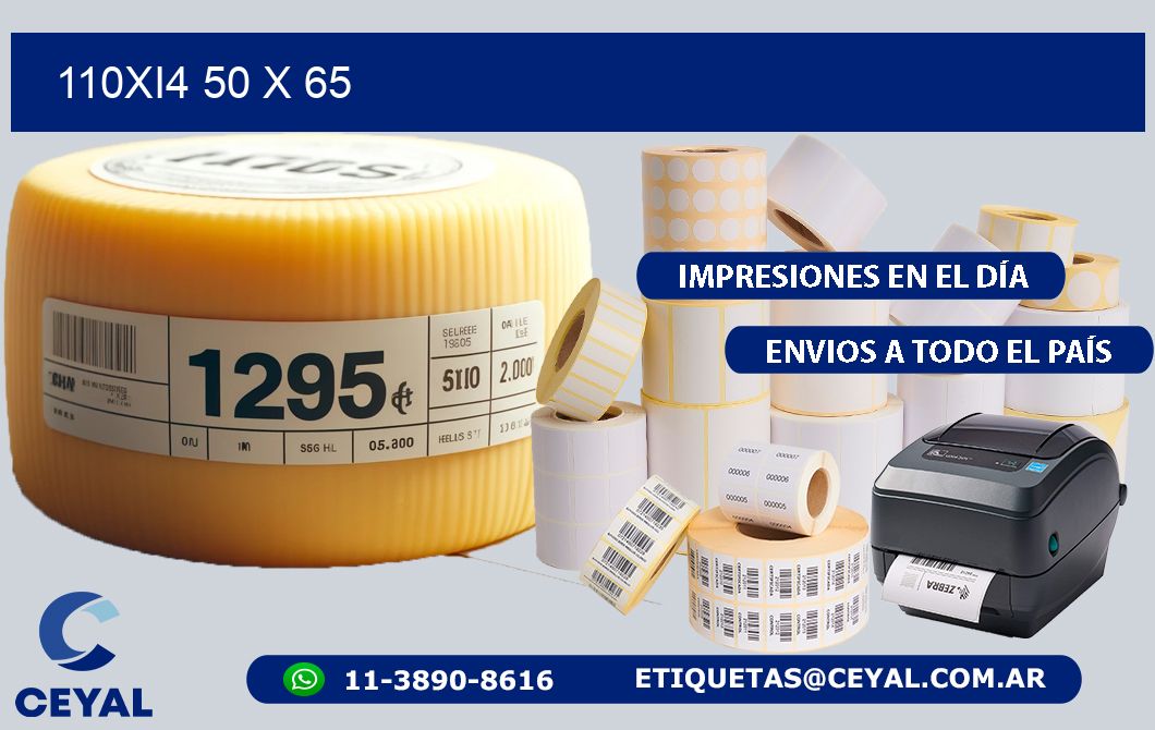 110Xi4 50 x 65