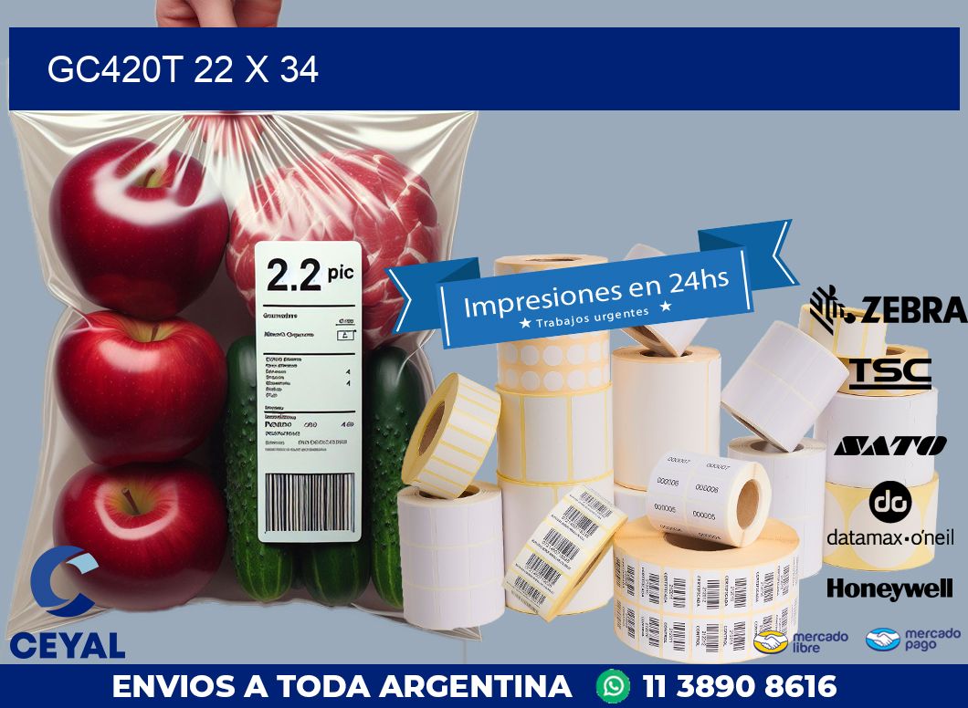 GC420T 22 x 34
