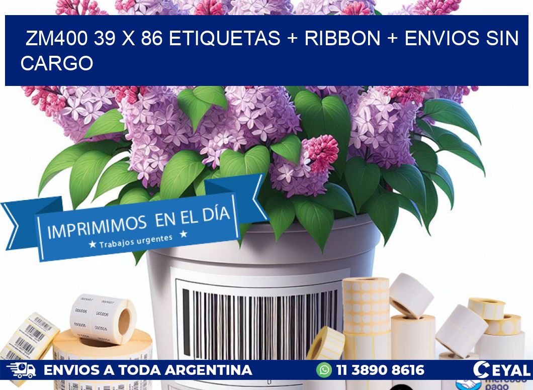 ZM400 39 x 86 etiquetas + ribbon + envios sin cargo