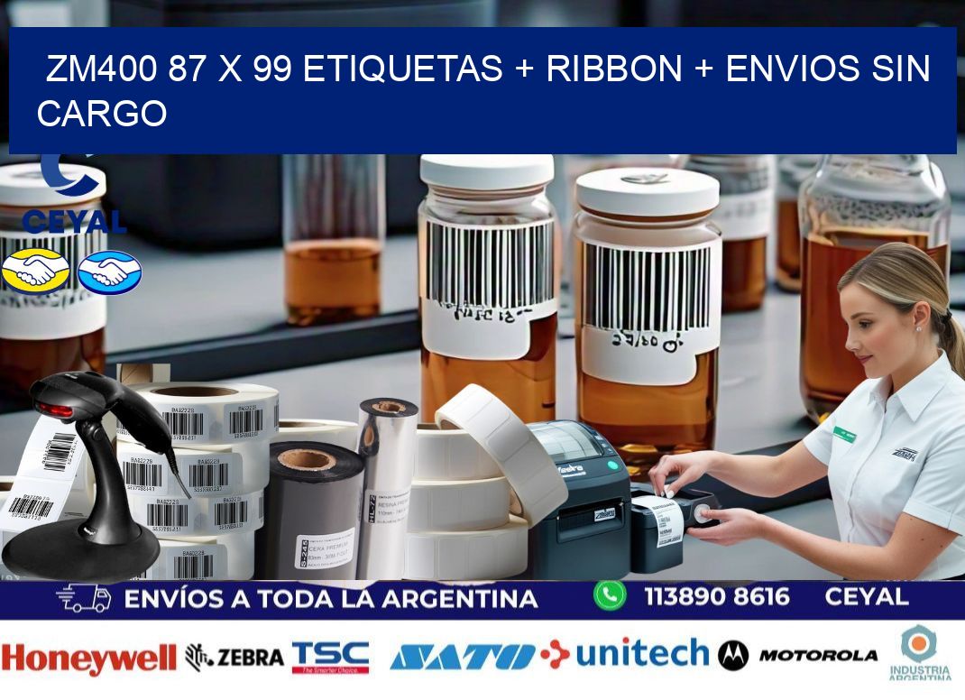 ZM400 87 x 99 etiquetas + ribbon + envios sin cargo
