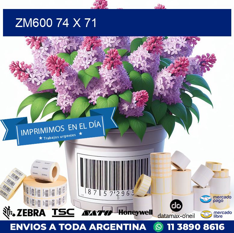 ZM600 74 x 71