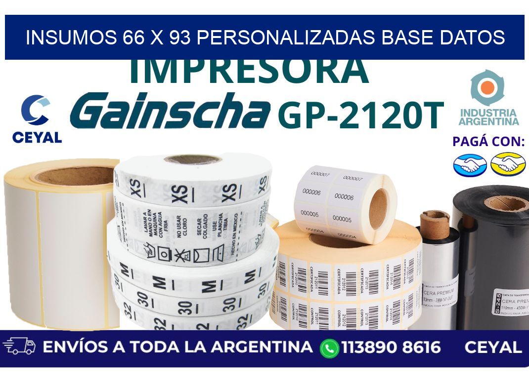 insumos 66 x 93 personalizadas base datos