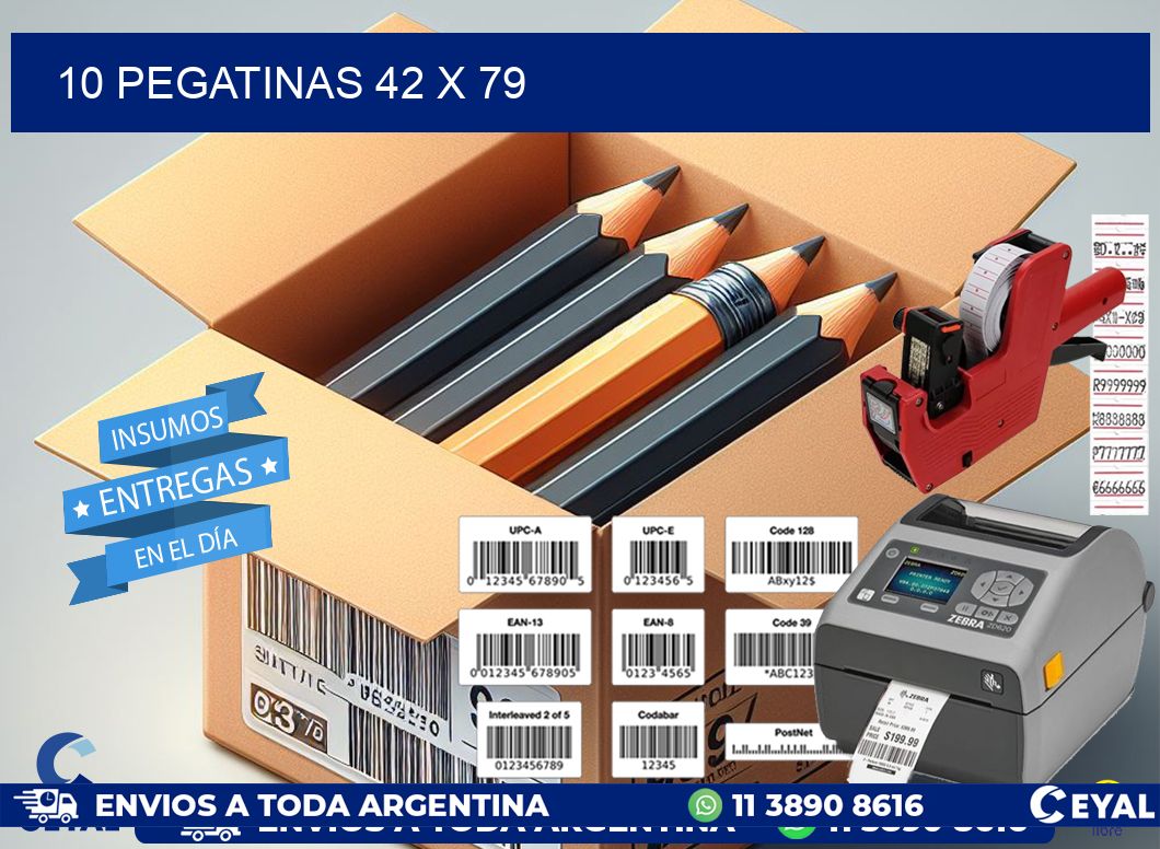 10 PEGATINAS 42 x 79