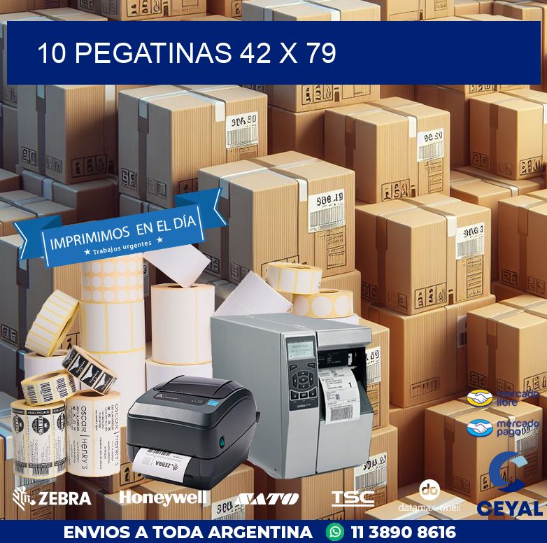 10 PEGATINAS 42 x 79