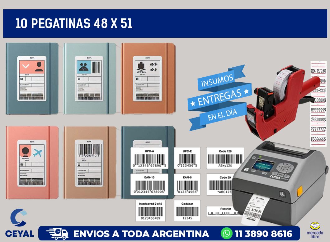 10 PEGATINAS 48 x 51