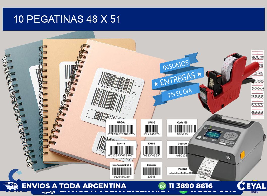 10 PEGATINAS 48 x 51
