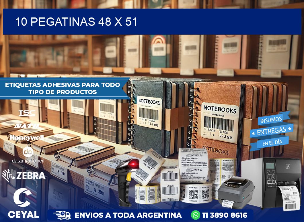 10 PEGATINAS 48 x 51