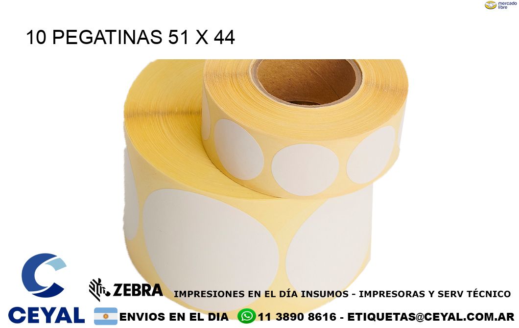 10 PEGATINAS 51 x 44