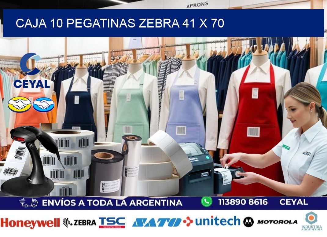 CAJA 10 PEGATINAS ZEBRA 41 x 70