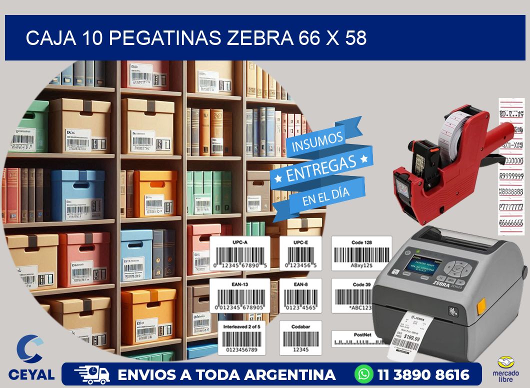 CAJA 10 PEGATINAS ZEBRA 66 x 58