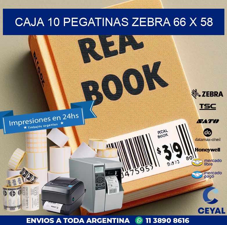 CAJA 10 PEGATINAS ZEBRA 66 x 58
