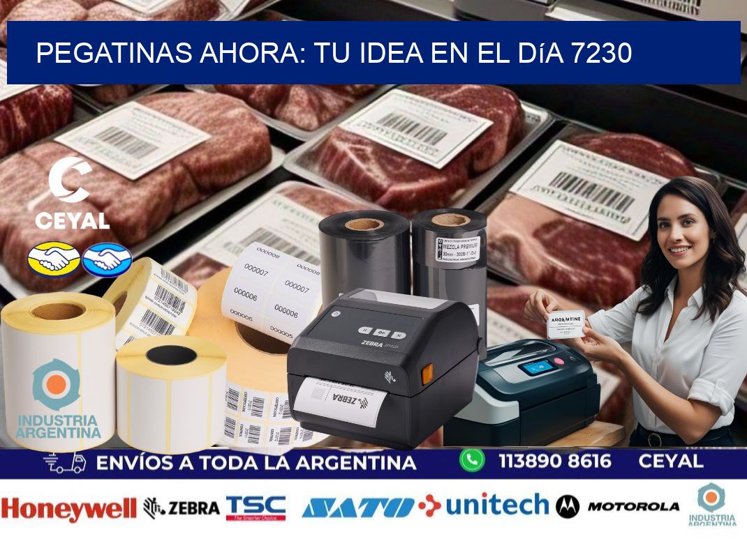Pegatinas Ahora: Tu Idea en el Día 7230