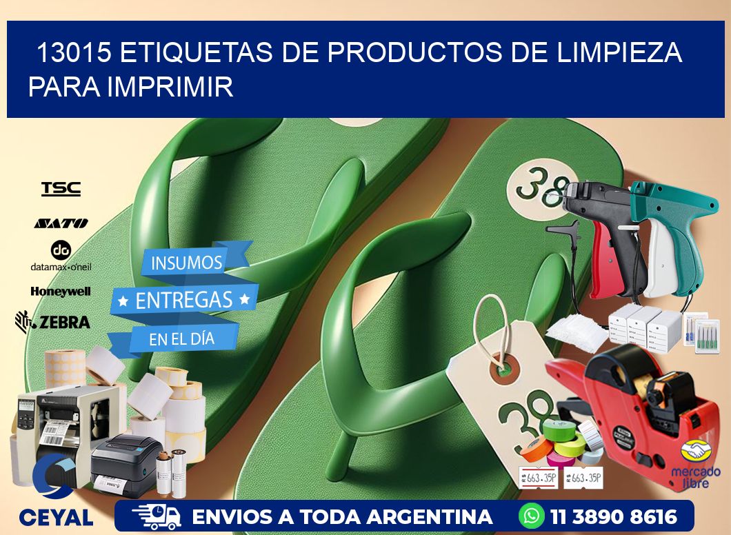 13015 Etiquetas de productos de limpieza para Imprimir