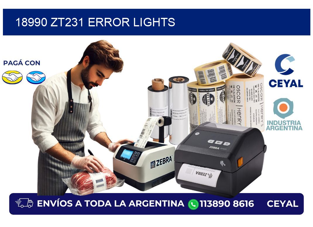 18990 ZT231 error lights