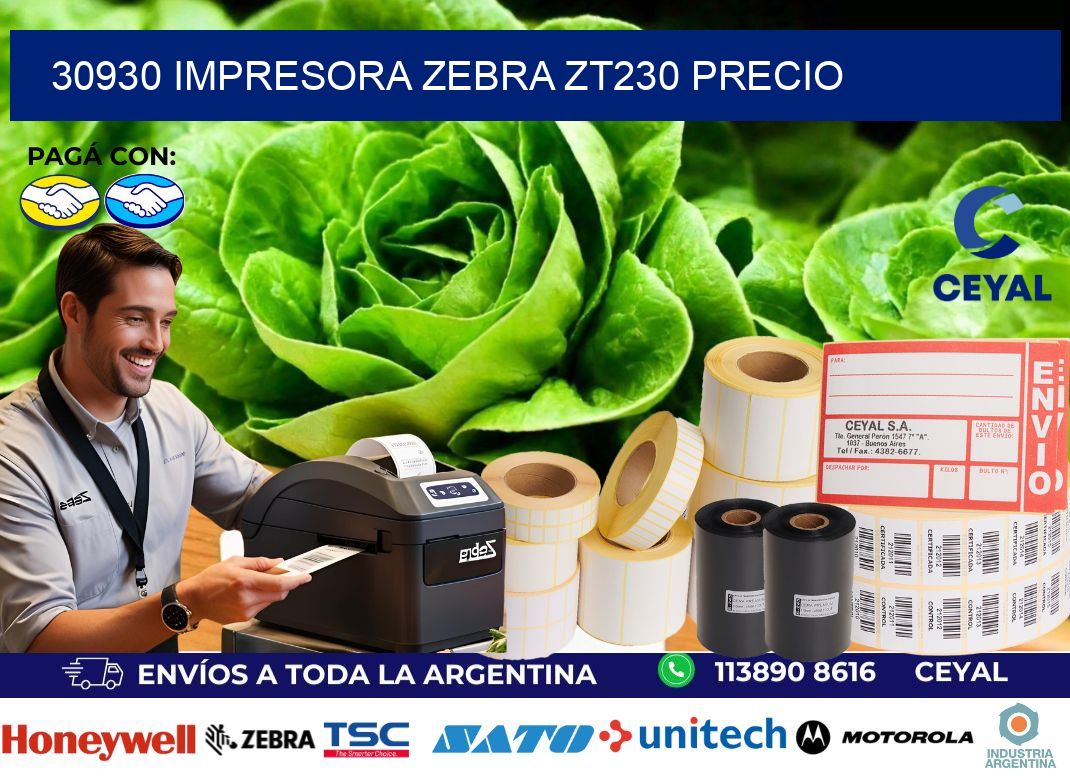 30930 Impresora Zebra ZT230 precio