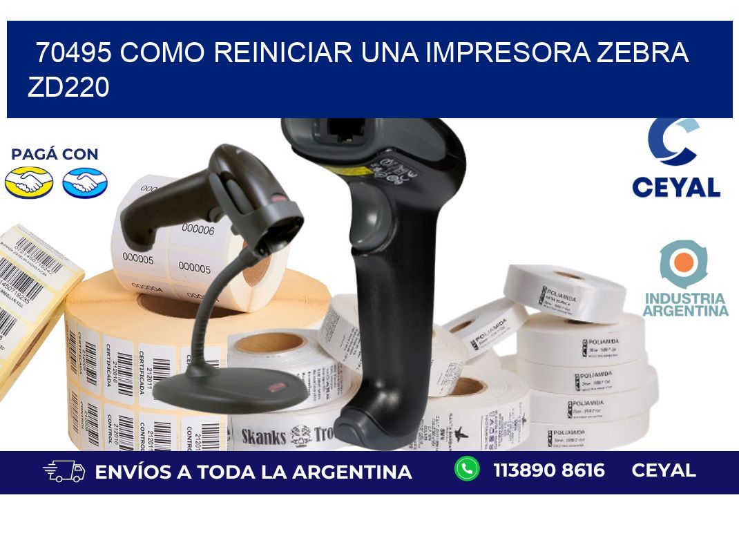 70495 Como reiniciar una impresora Zebra  ZD220