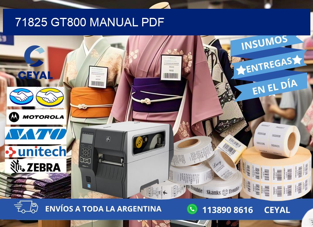 71825 GT800 manual PDF