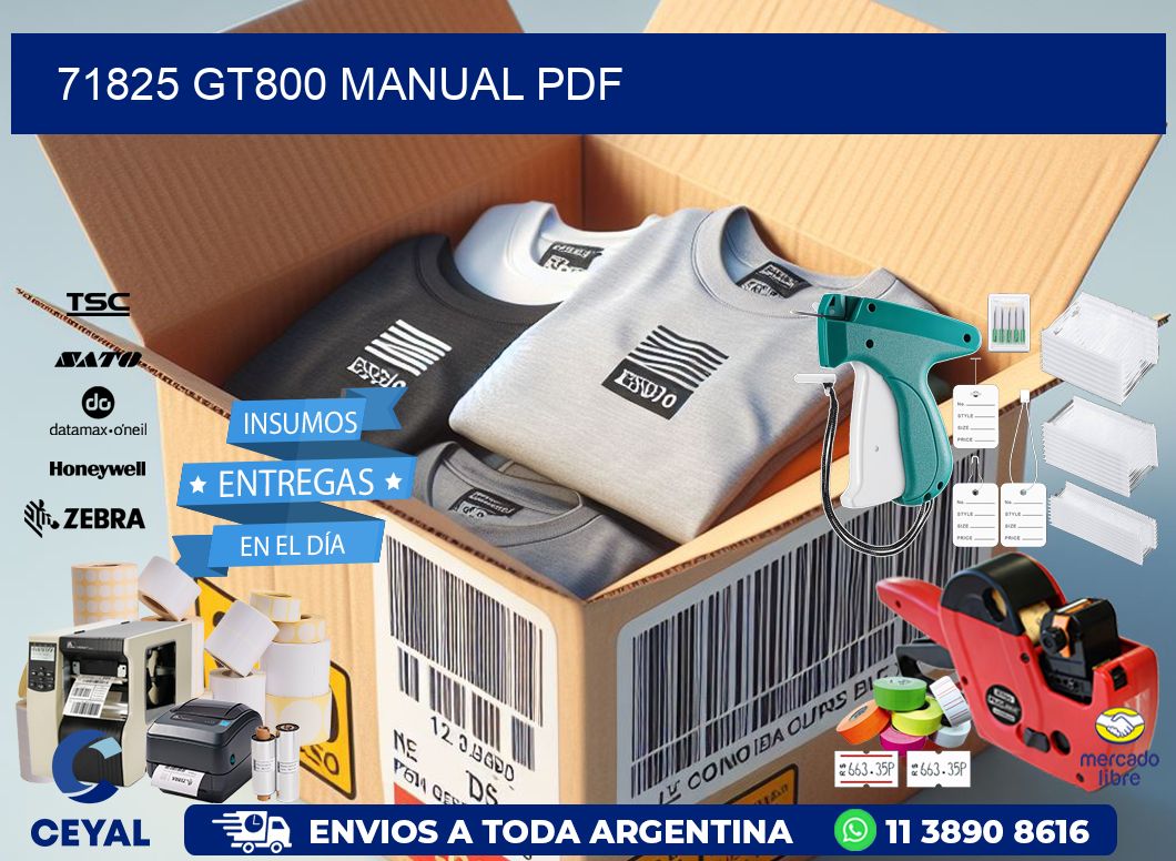 71825 GT800 manual PDF