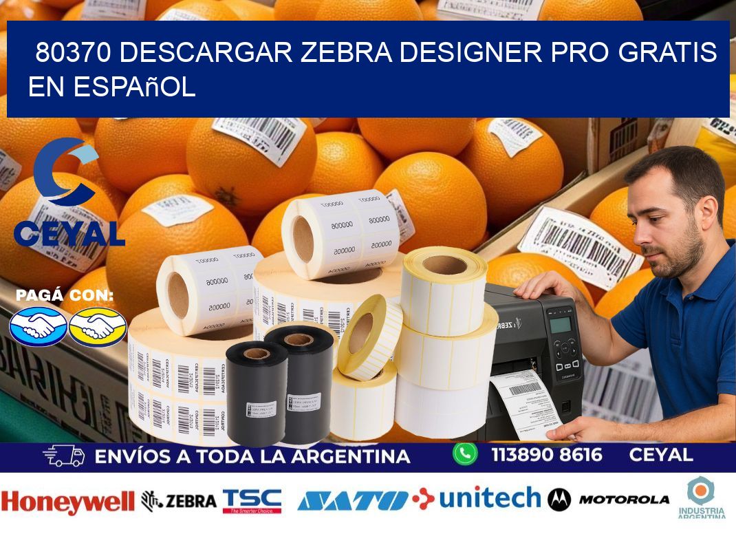 80370 Descargar Zebra Designer Pro gratis en Español