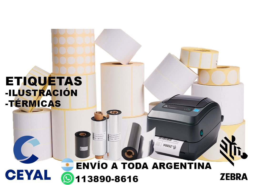 95630 Zebra ZD421 manual PDF