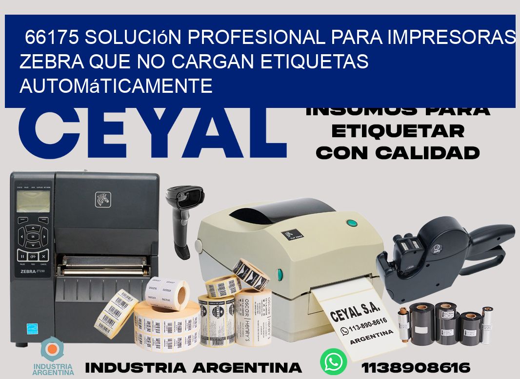 66175 solución profesional para impresoras zebra que no cargan etiquetas automáticamente