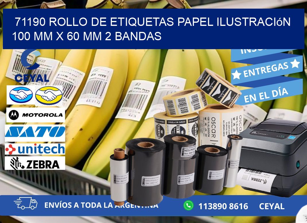 71190 Rollo de Etiquetas Papel Ilustración 100 mm x 60 mm 2 Bandas