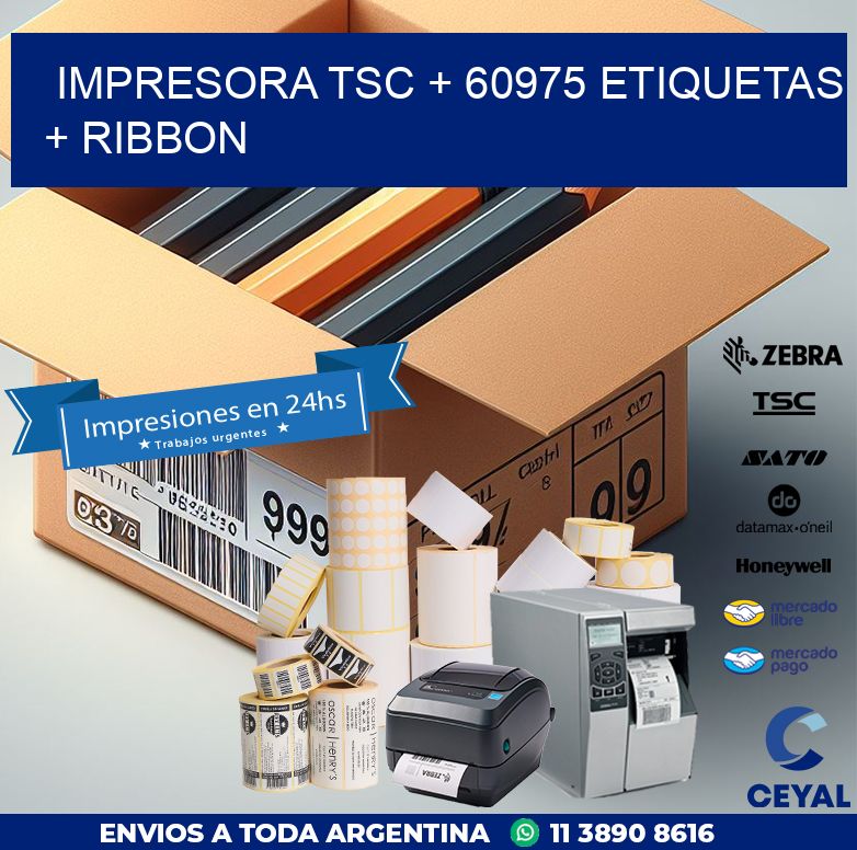 impresora TSC + 60975 etiquetas + ribbon