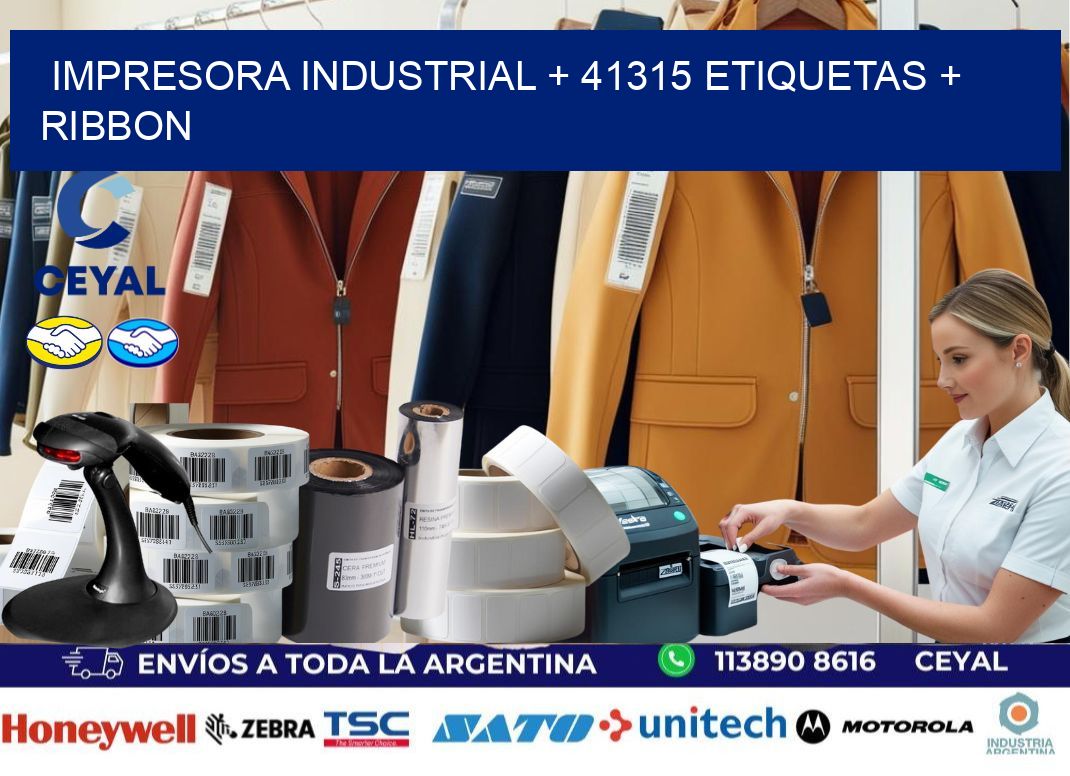 impresora industrial + 41315 etiquetas + ribbon