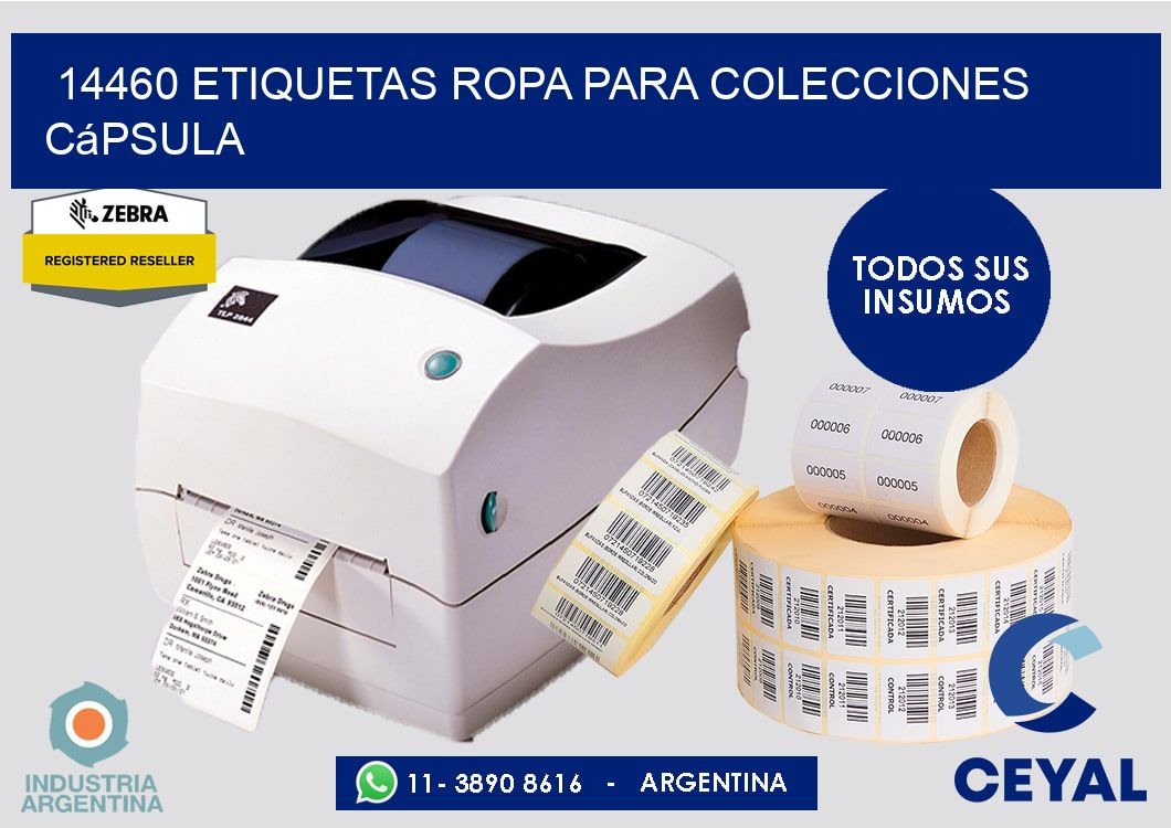 14460 Etiquetas ropa para colecciones cápsula