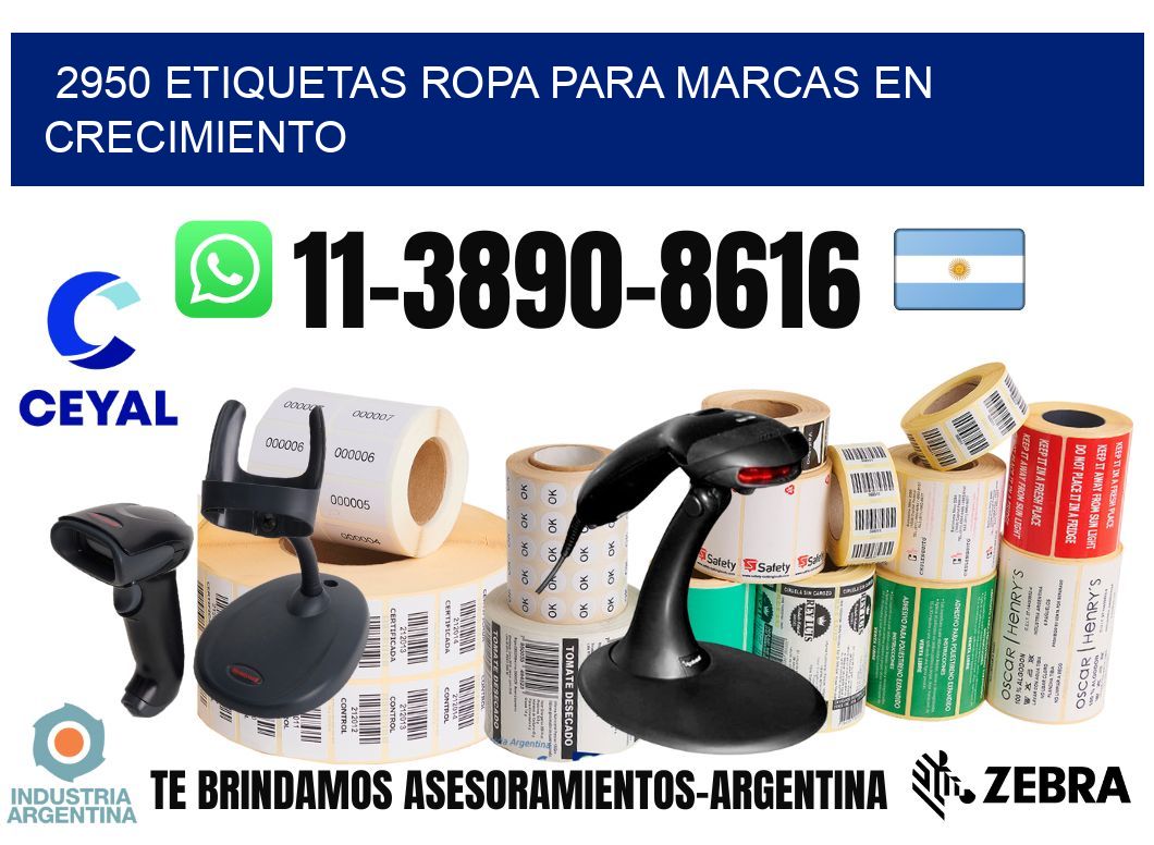 2950 Etiquetas ropa para marcas en crecimiento