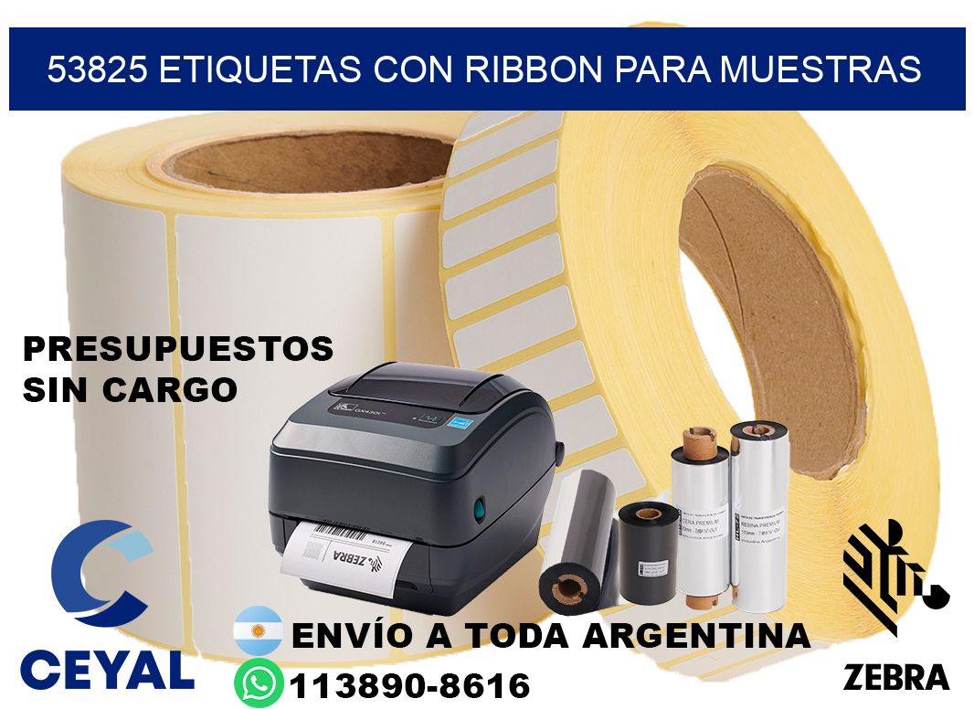 53825 etiquetas con ribbon para muestras