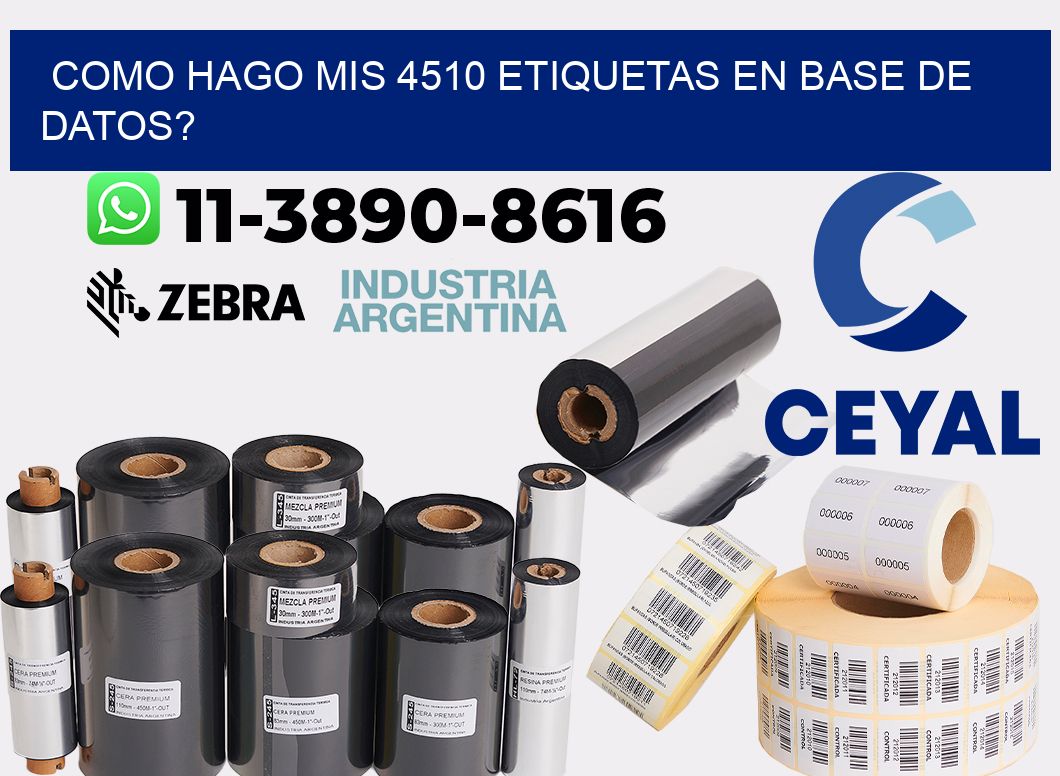como hago mis 4510 etiquetas en base de datos?