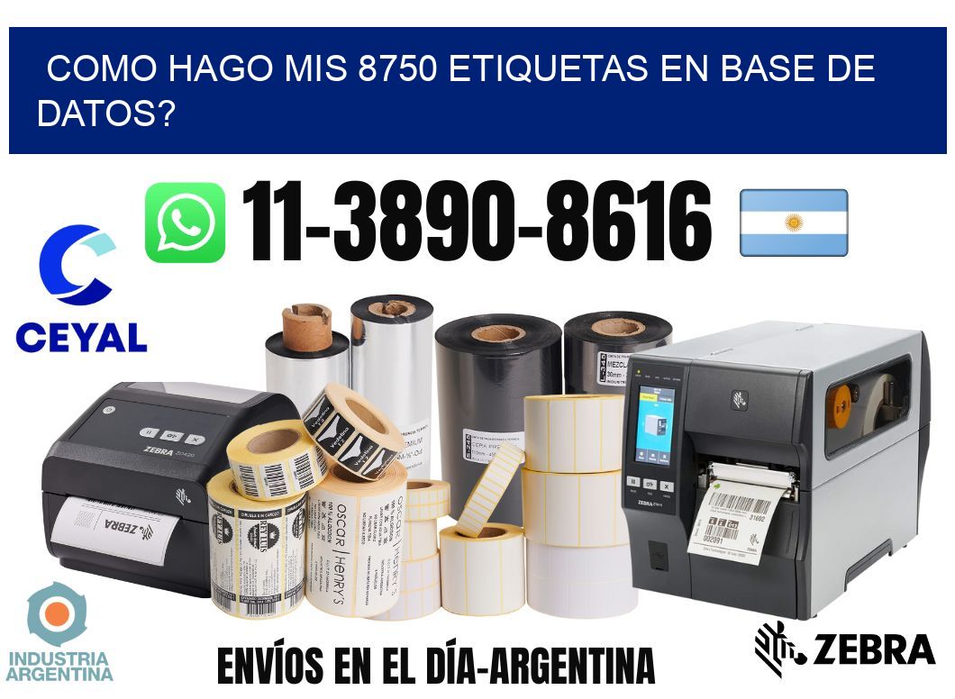 como hago mis 8750 etiquetas en base de datos?