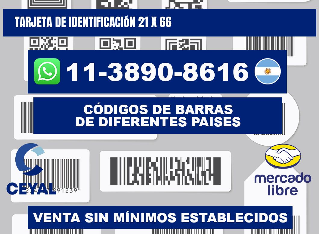 Tarjeta de identificación 21 x 66