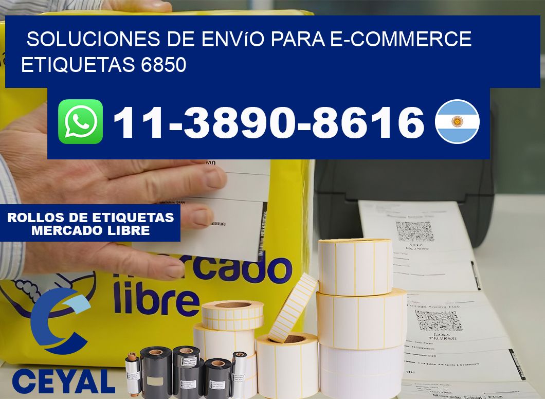 Soluciones de envío para e-commerce  etiquetas 6850