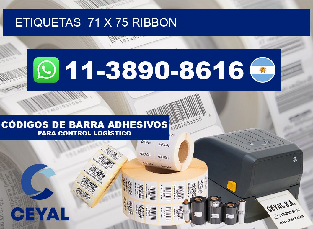 Etiquetas  71 x 75 ribbon