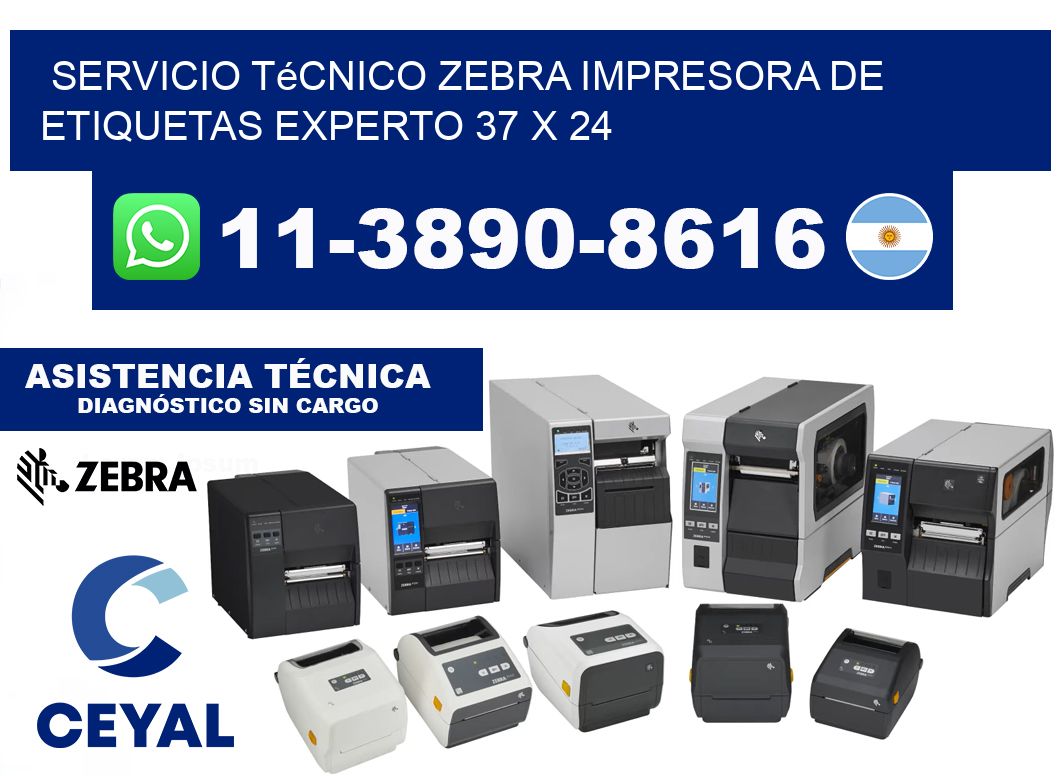 Servicio Técnico Zebra Impresora de Etiquetas Experto 37 x 24