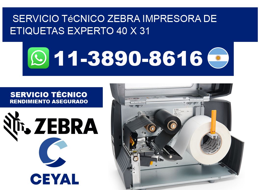 Servicio Técnico Zebra Impresora de Etiquetas Experto 40 x 31