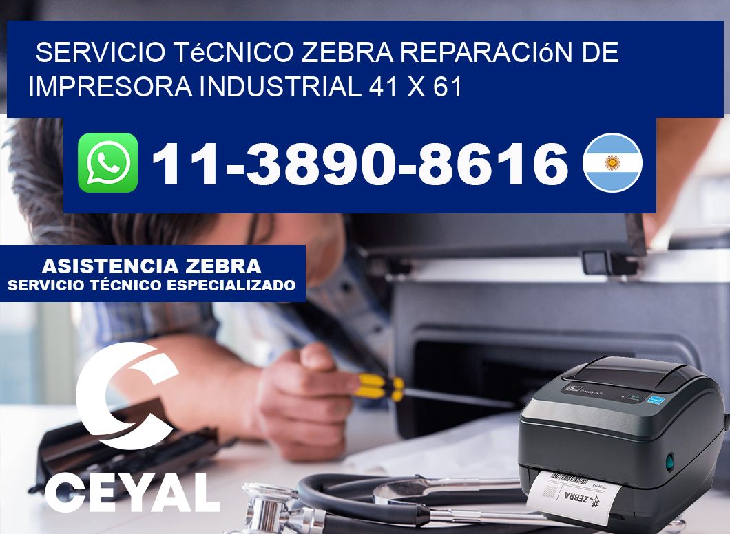 Servicio Técnico Zebra Reparación de Impresora Industrial 41 x 61