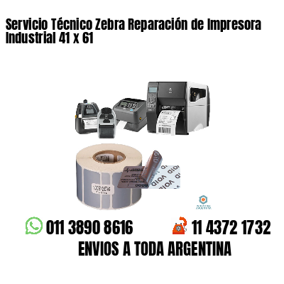 Servicio Técnico Zebra Reparación de Impresora Industrial 41 x 61