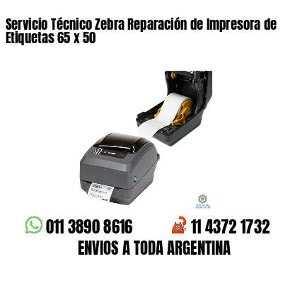 Servicio Técnico Zebra Reparación de Impresora de Etiquetas 65 x 50