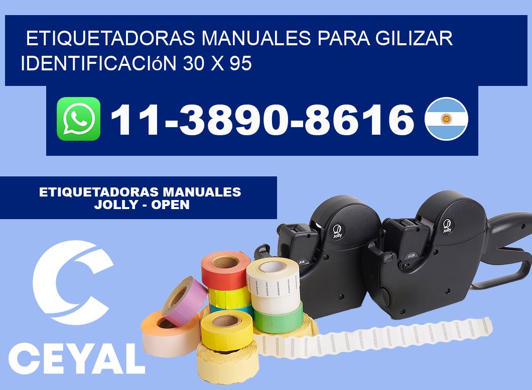 etiquetadoras manuales para gilizar identificación 30 x 95