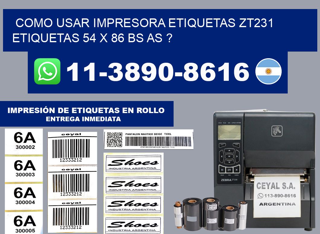 como usar impresora etiquetas zt231 etiquetas 54 x 86 BS AS ?